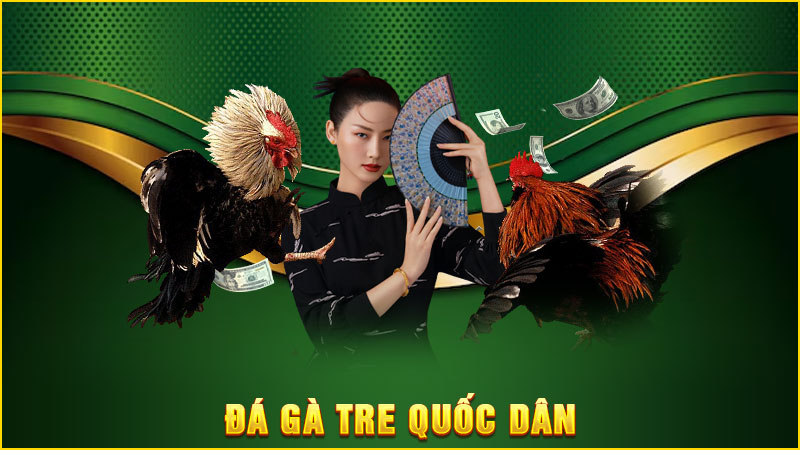 đá gà tre quốc dân