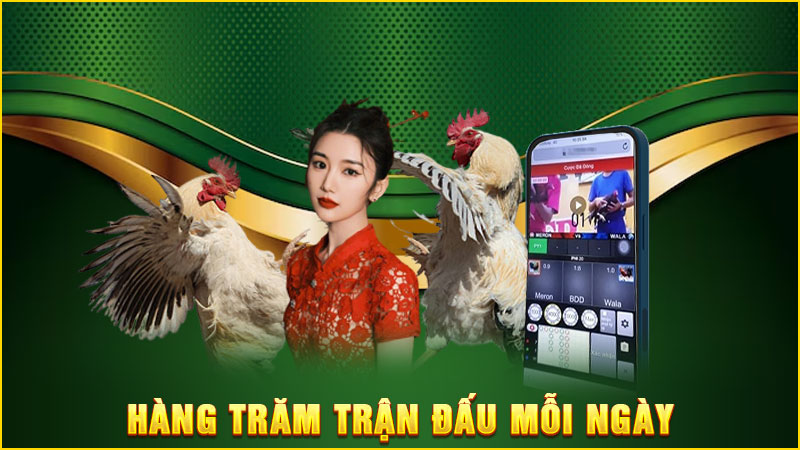 hàng trăm trận đấu mỗi ngày