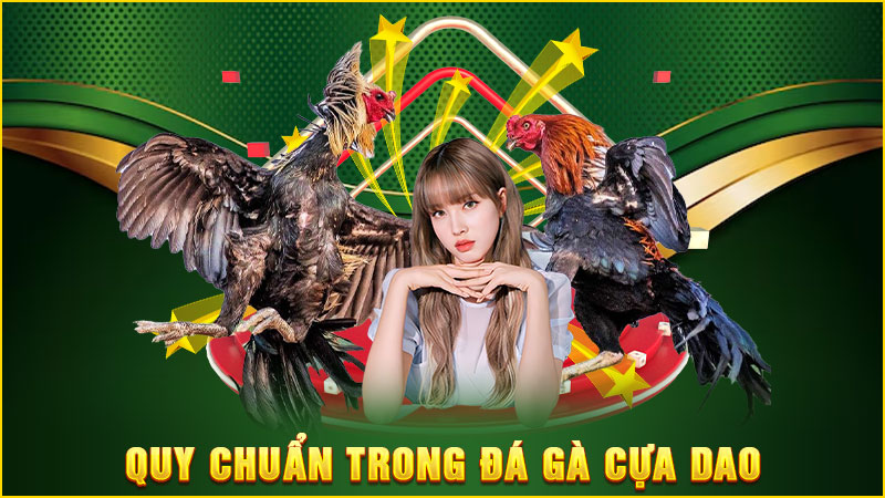 quy chuẩn trong đá gà cựa dao